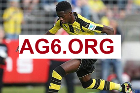 对亚洲球员的建议？字母哥：努力、自信、正确的态度，自律